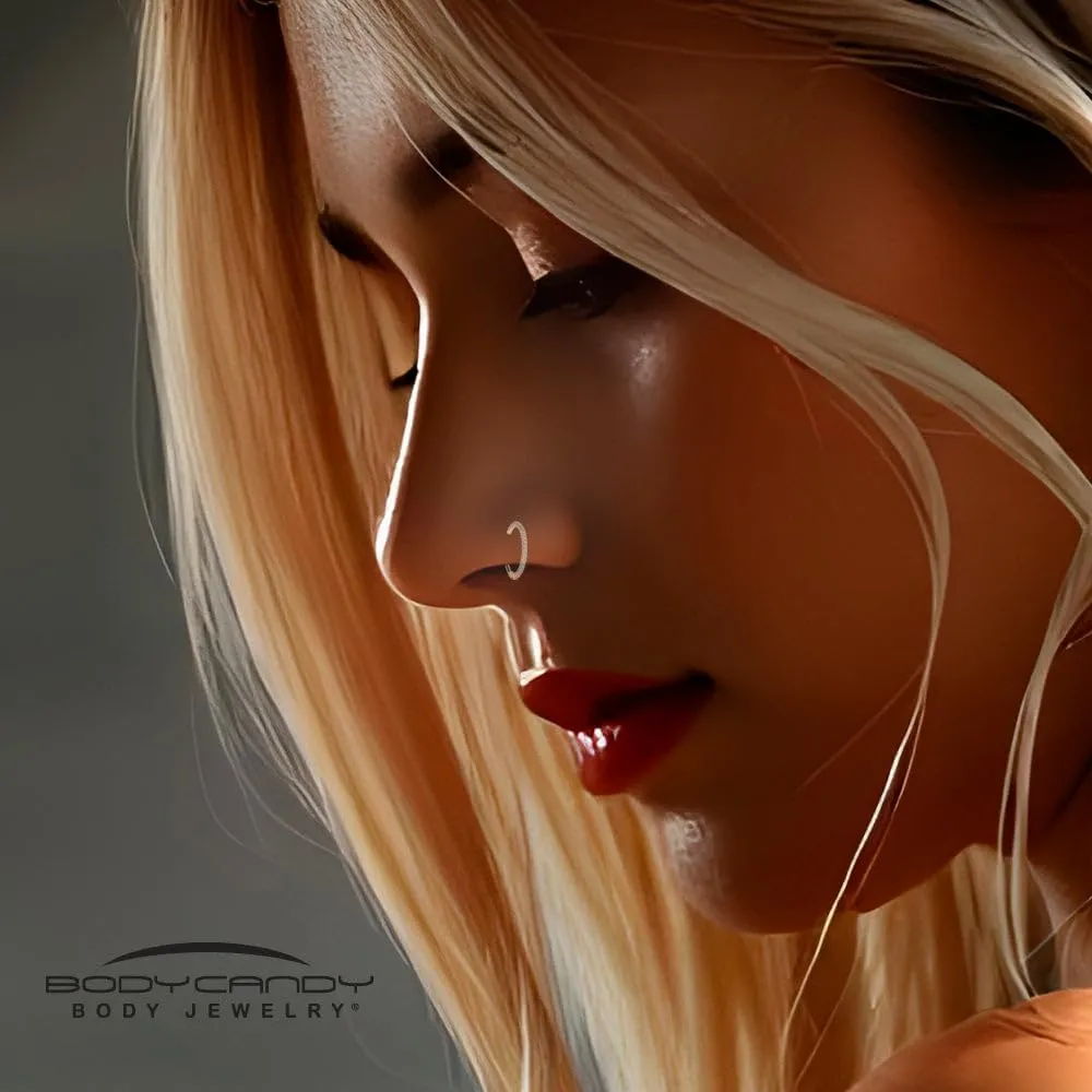 Body Candy Triple Sided Micro Gem Nose Hoop Ring - Implant Grade Titanium With Sparkling CZ Gems on All Sides - 20G Hypoallergenic Piercing Jewelry Cubic Zirconia